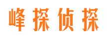 东城市婚姻调查